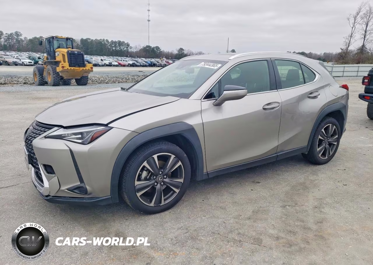 2019 Lexus Ux 200 Base