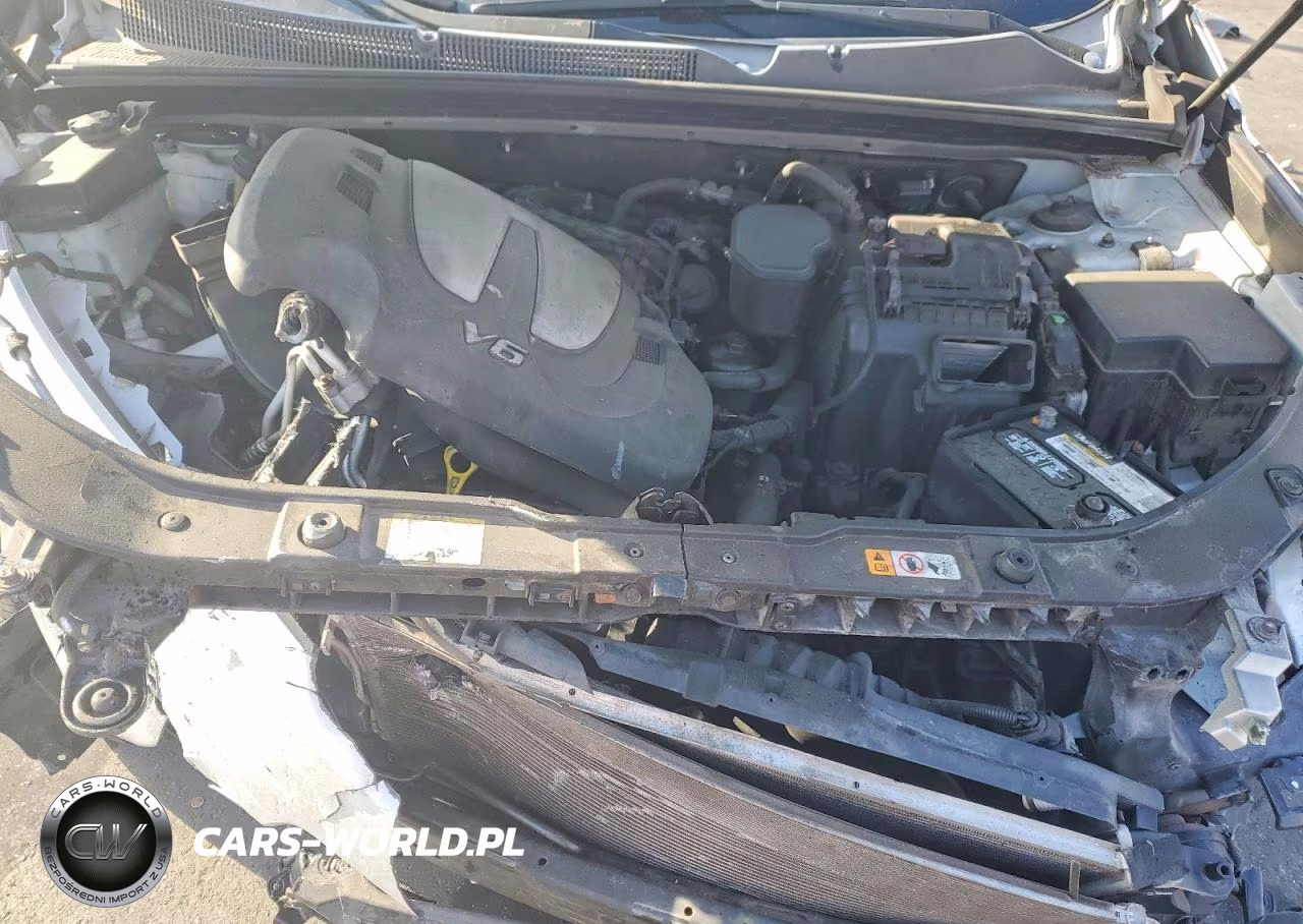 2013 Kia Sorento Ex VIN:5XYKU3A27DG357089 - 12