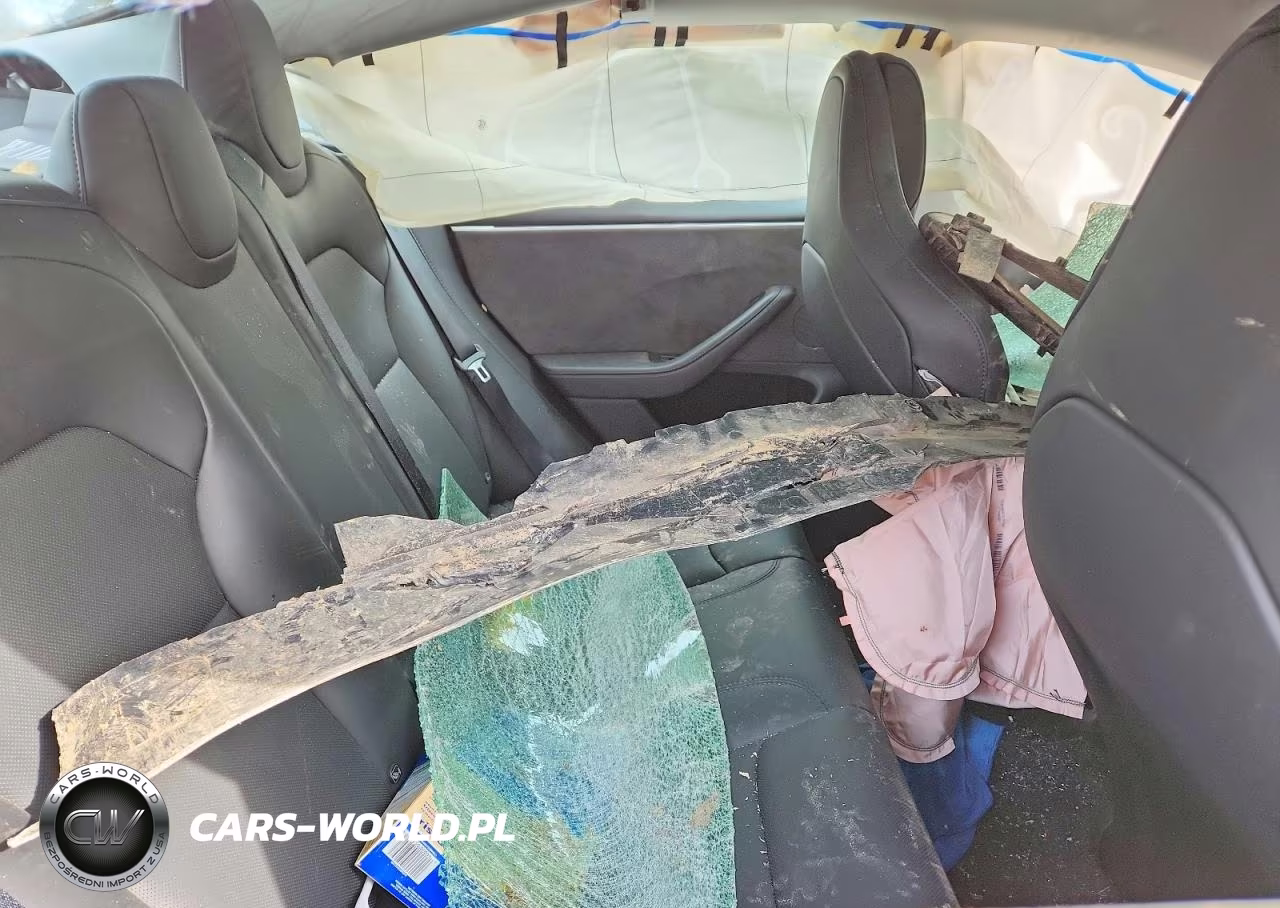 2025 Tesla Model 3 VIN:5YJ3E1ETXSF005637 - 10