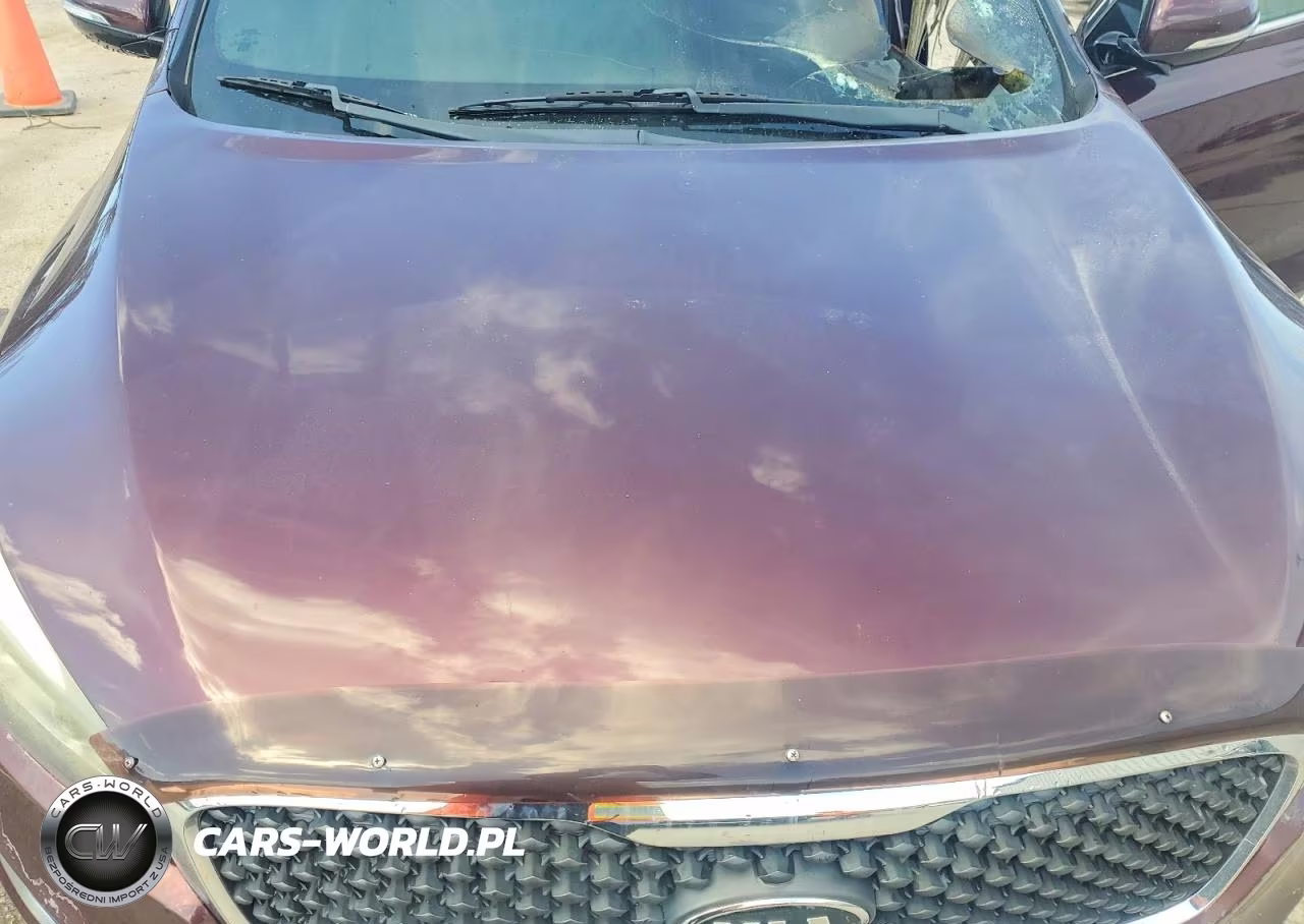 2017 Kia Sorento Lx VIN:5XYPG4A36HG192878 - 12