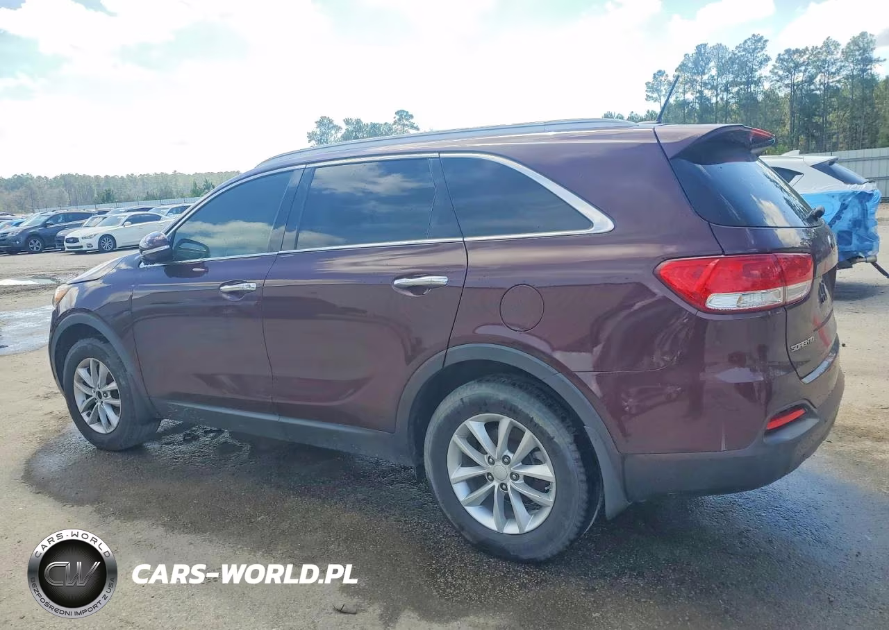 2017 Kia Sorento Lx VIN:5XYPG4A36HG192878 - 2