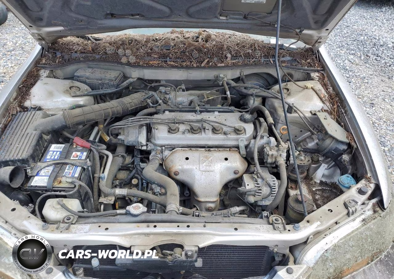 1998 Honda Accord Lx VIN:1HGCG564XWA113622 - 11