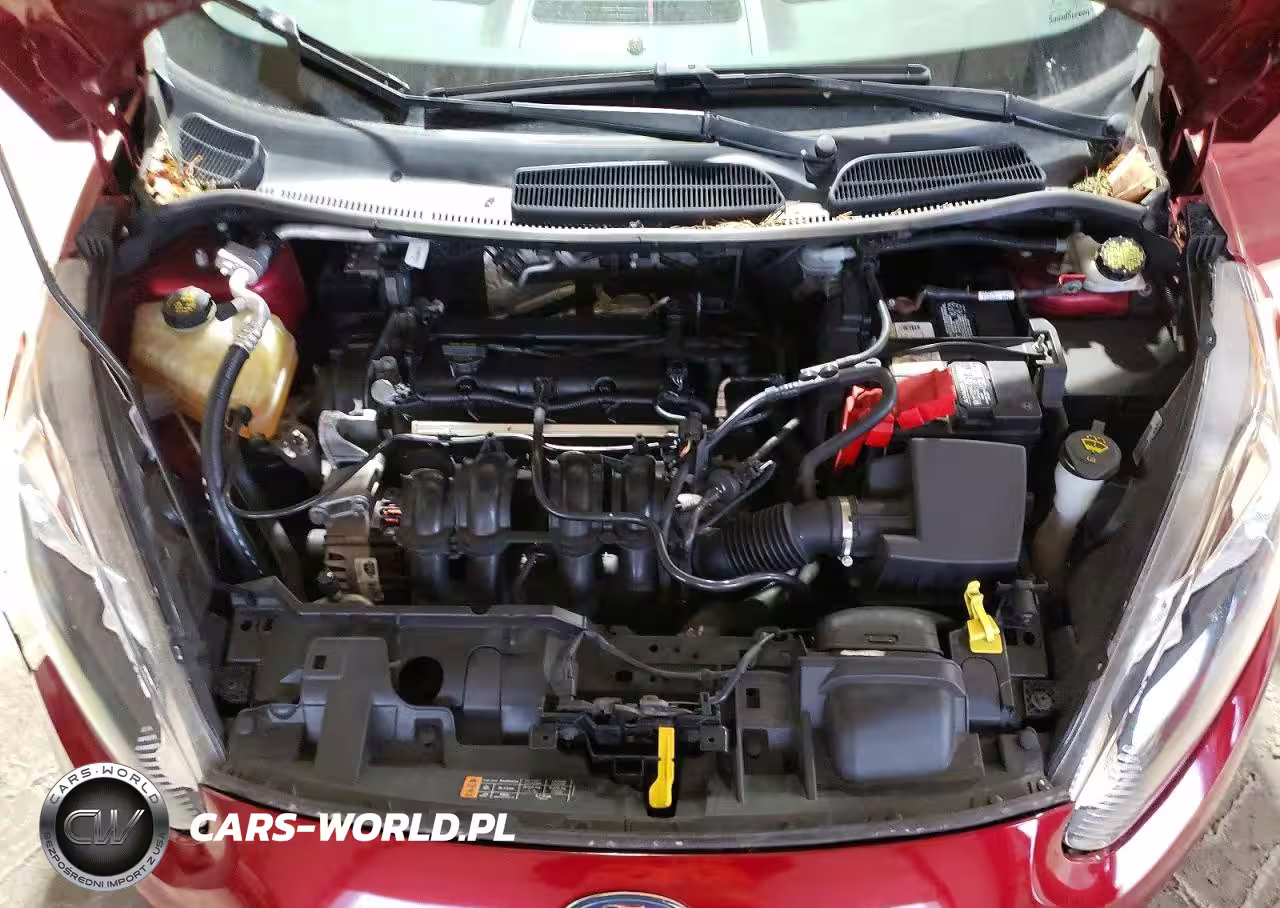2015 Ford Fiesta Se VIN:3FADP4EJ7FM145473 - 11