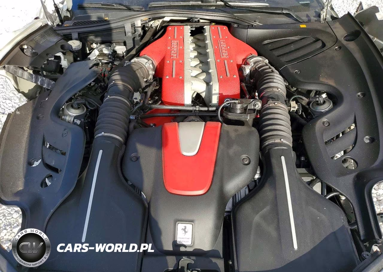 2015 Ferrari Ff VIN:ZFF73SKA4F0209484 - 11