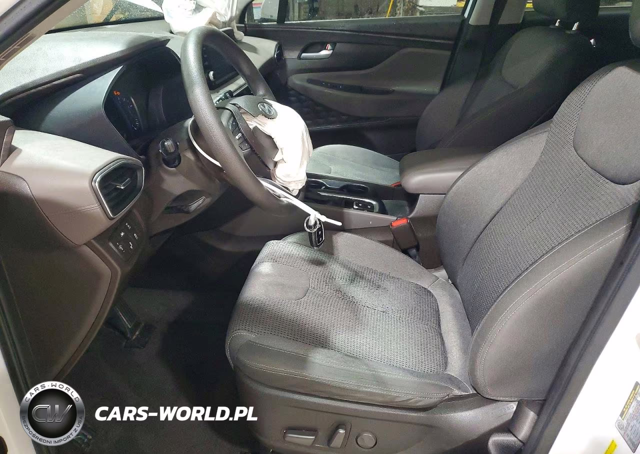 2020 Hyundai Santa Fe Sel VIN:5NMS3CAD5LH304903 - 7