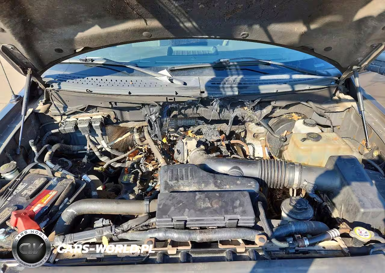 2009 Ford F150 VIN:1FTRF12W89KB72422 - 11