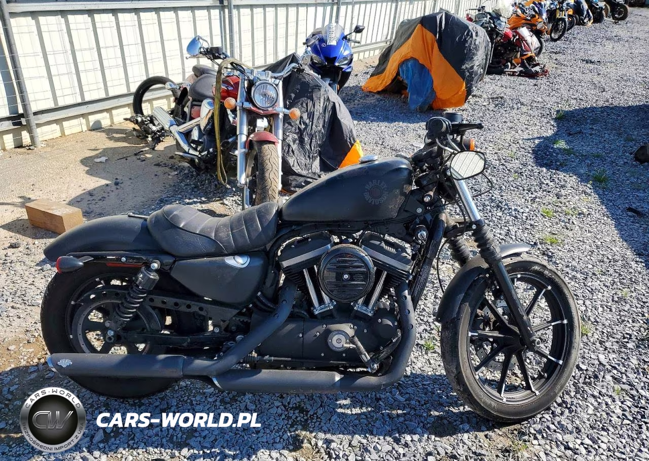 2019 Harley-Davidson Xl883 N