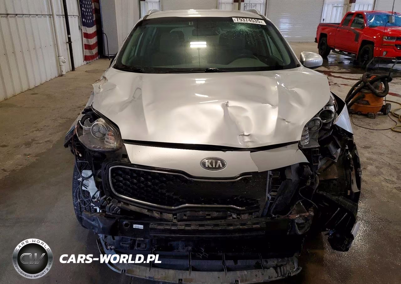 2019 Kia Sportage Lx VIN:KNDPMCAC6K7613408 - 5