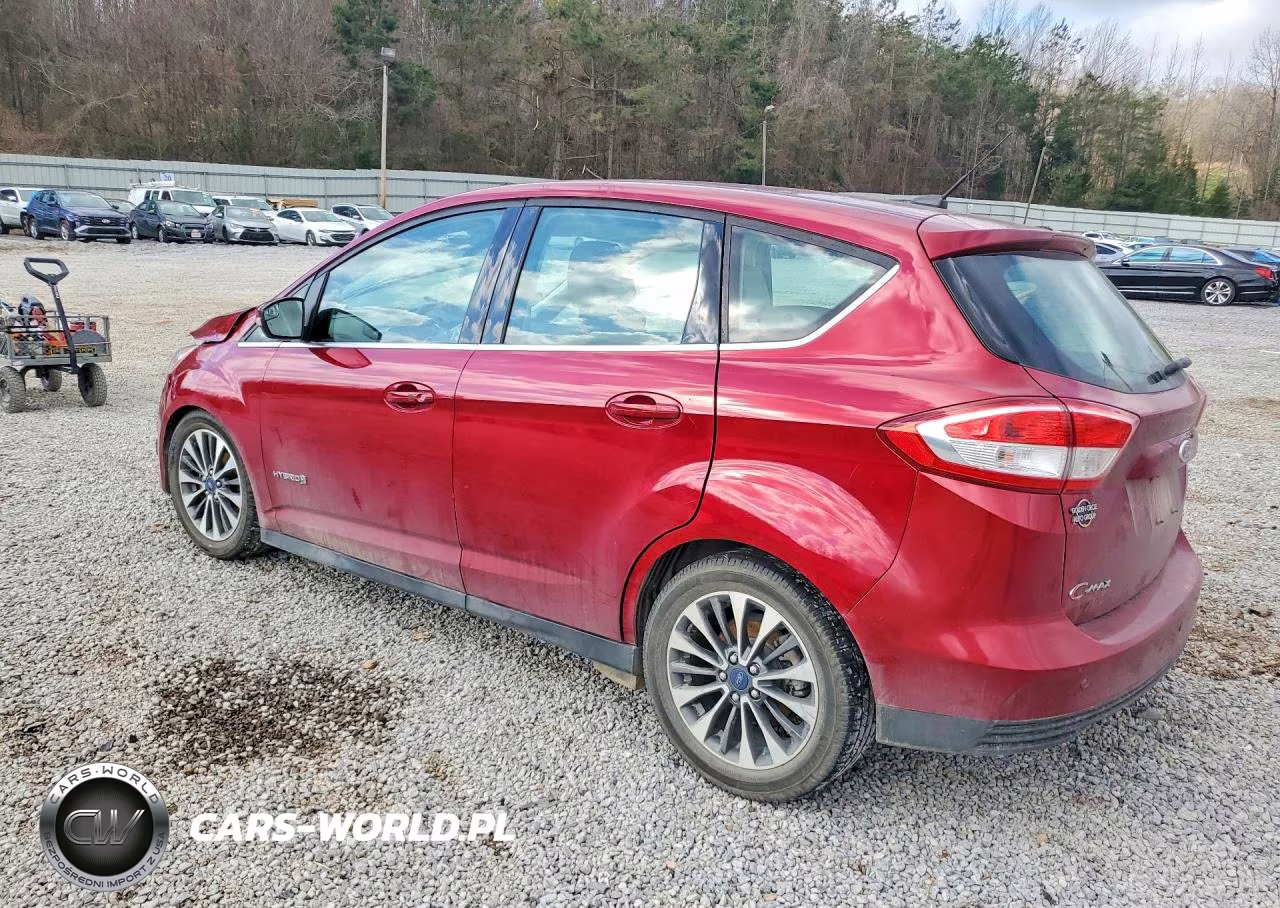 2017 Ford C-Max Titanium VIN:1FADP5DUXHL106365 - 2