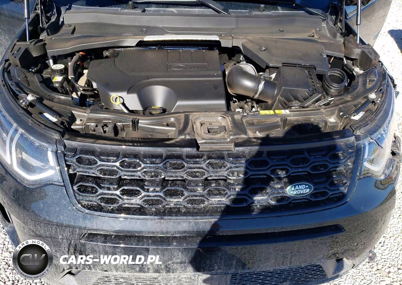 2023 Land Rover Discovery Sport S VIN:SALCJ2FX3PH325059 - 12