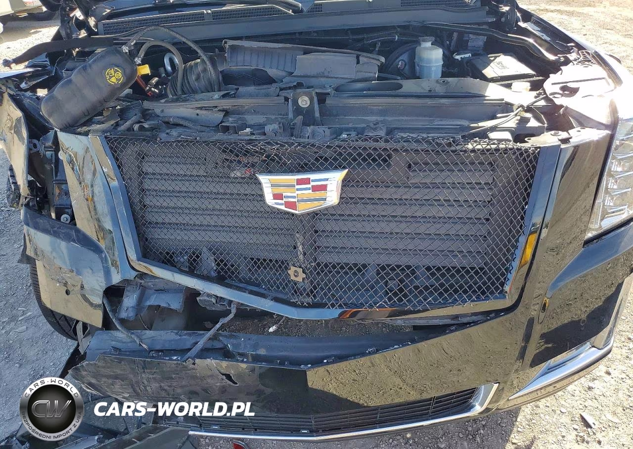 2019 Cadillac Escalade Esv Luxury VIN:1GYS3HKJ5KR148710 - 12