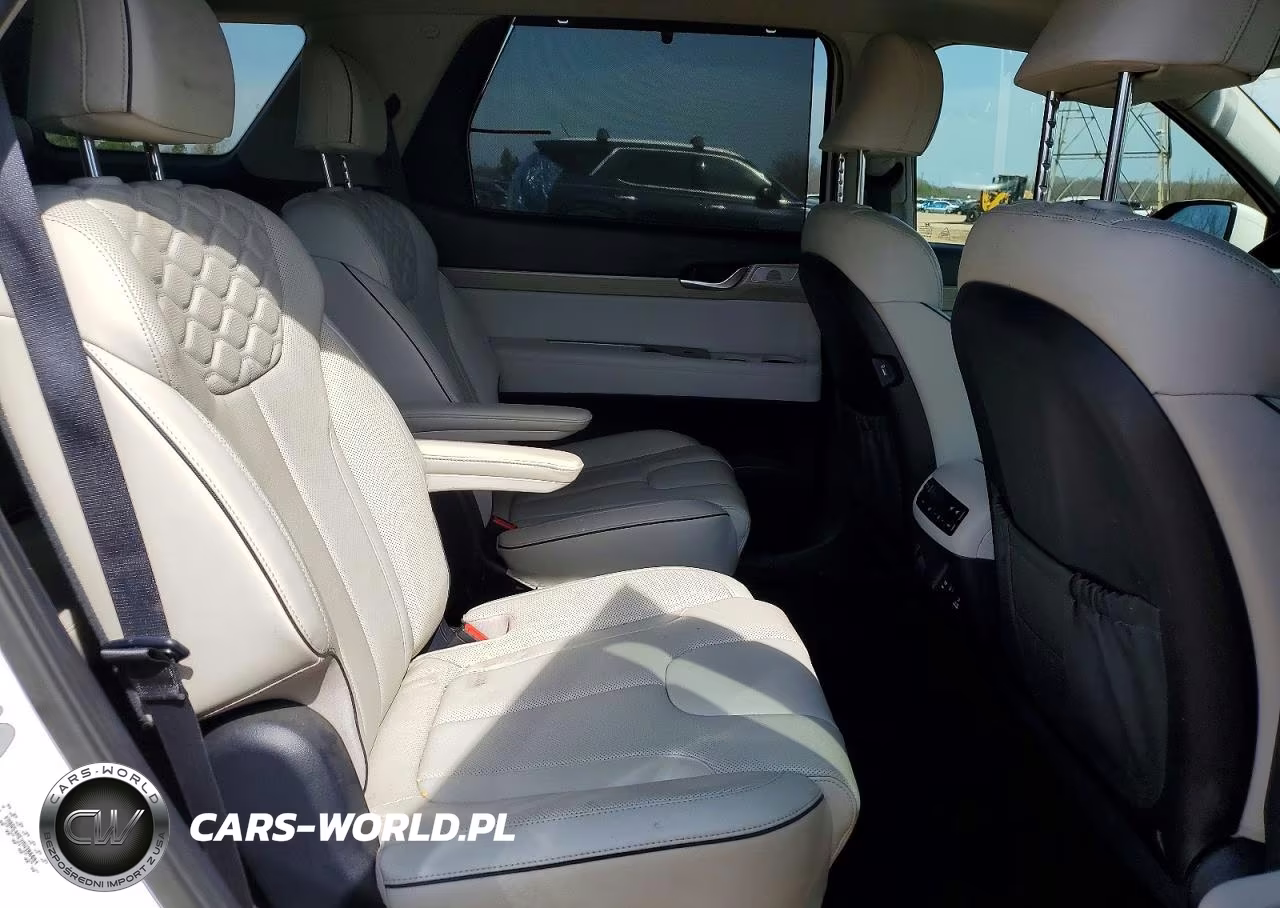 2021 Hyundai Palisade Limited VIN:KM8R54HEXMU306004 - 11