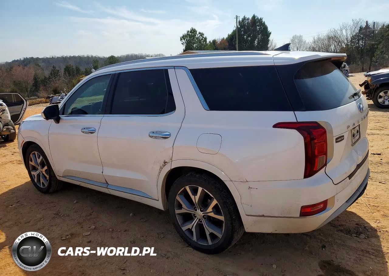 2021 Hyundai Palisade Limited VIN:KM8R54HEXMU306004 - 2