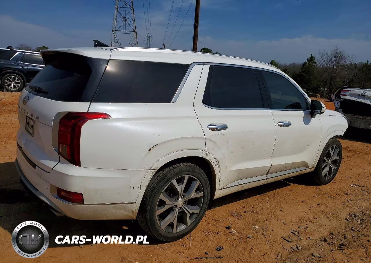 2021 Hyundai Palisade Limited VIN:KM8R54HEXMU306004 - 3