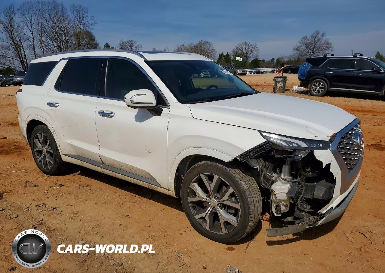 2021 Hyundai Palisade Limited VIN:KM8R54HEXMU306004 - 4