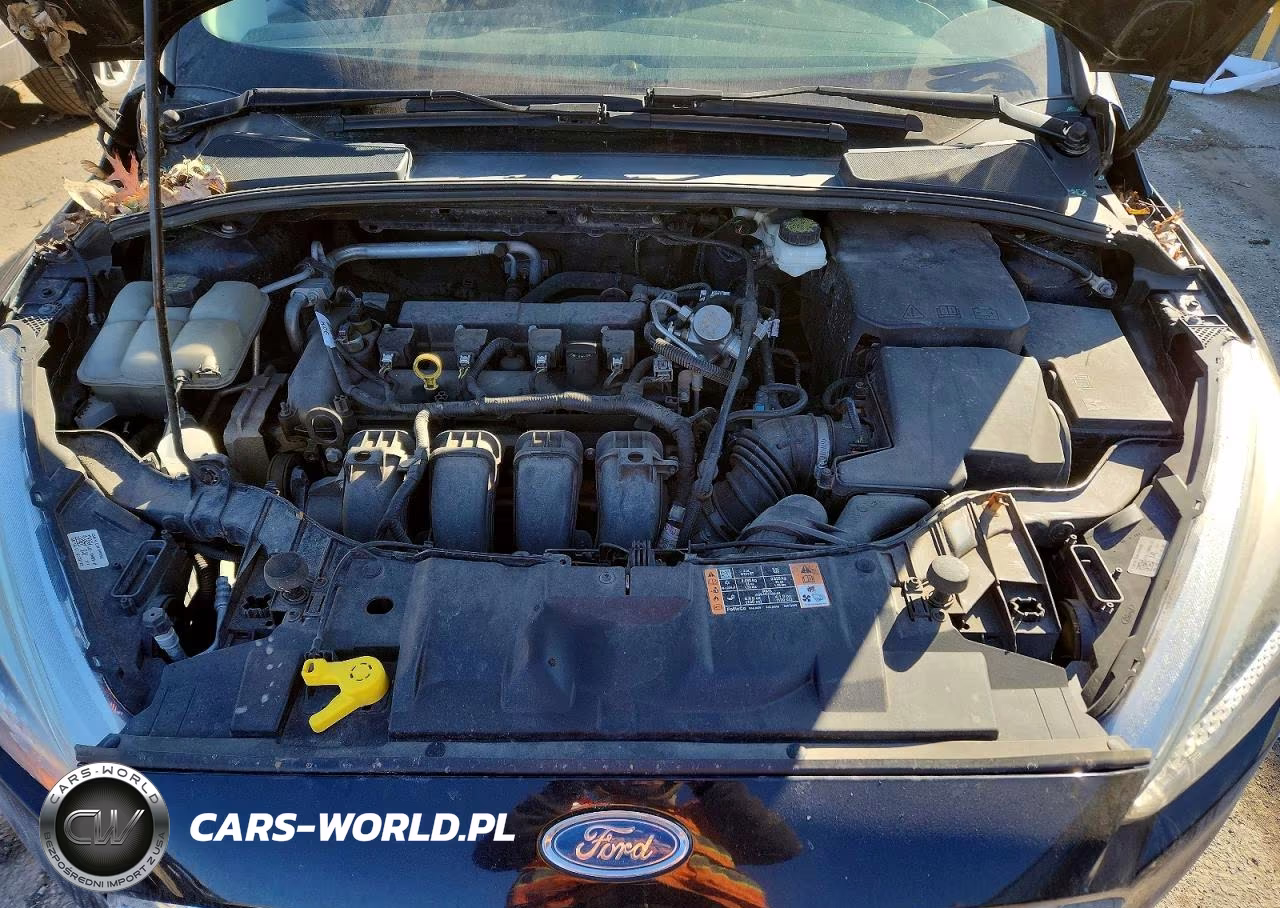 2017 Ford Focus Se VIN:1FADP3F28HL323414 - 11