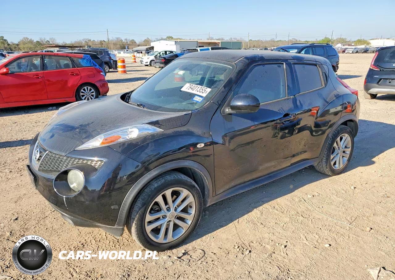 2014 Niss Juke