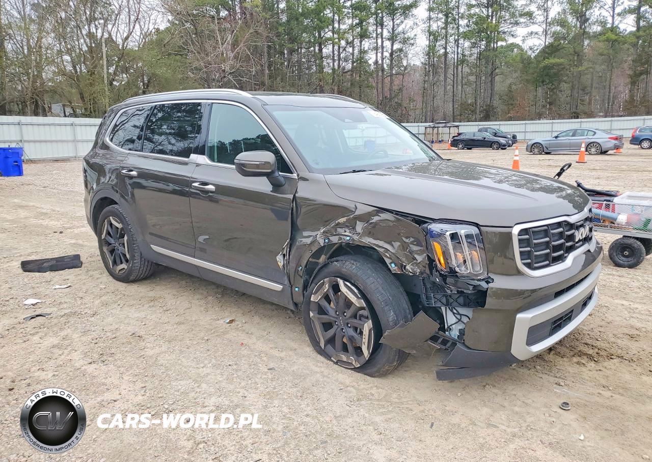 2024 Kia Telluride S VIN:5XYP64GC3RG419603 - 4