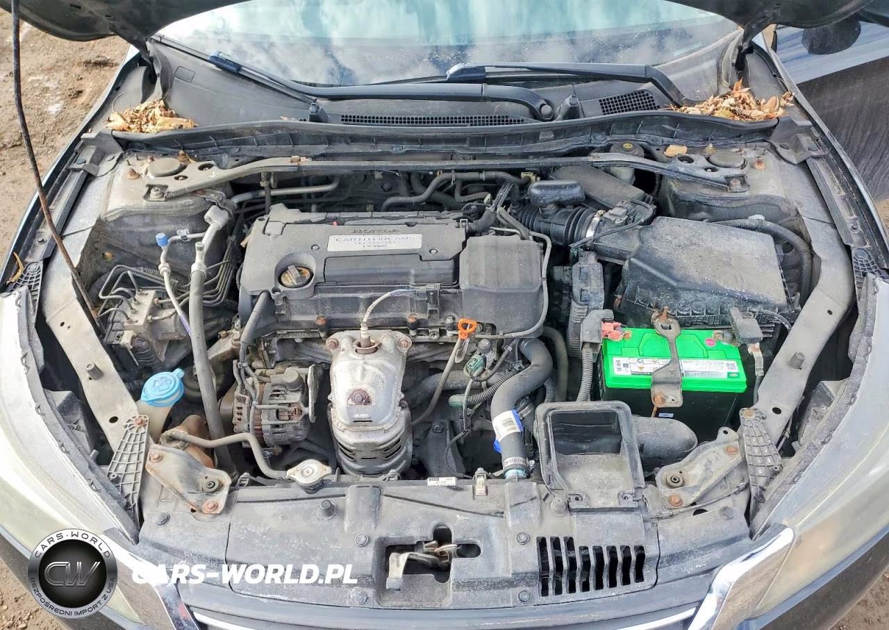 2014 Honda Accord Ex VIN:1HGCR2F86EA117189 - 11