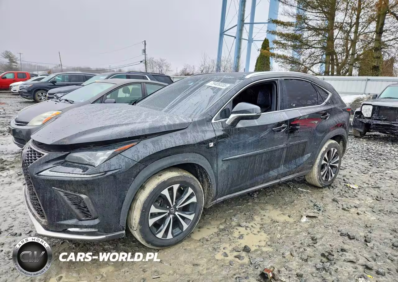 2018 Lexus Nx 300 F Sport