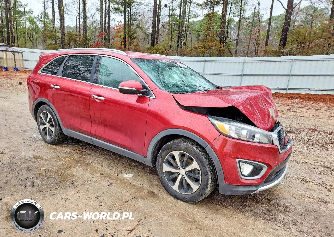 2016 Kia Sorento Ex V6 VIN:5XYPH4A59GG084462 - 4