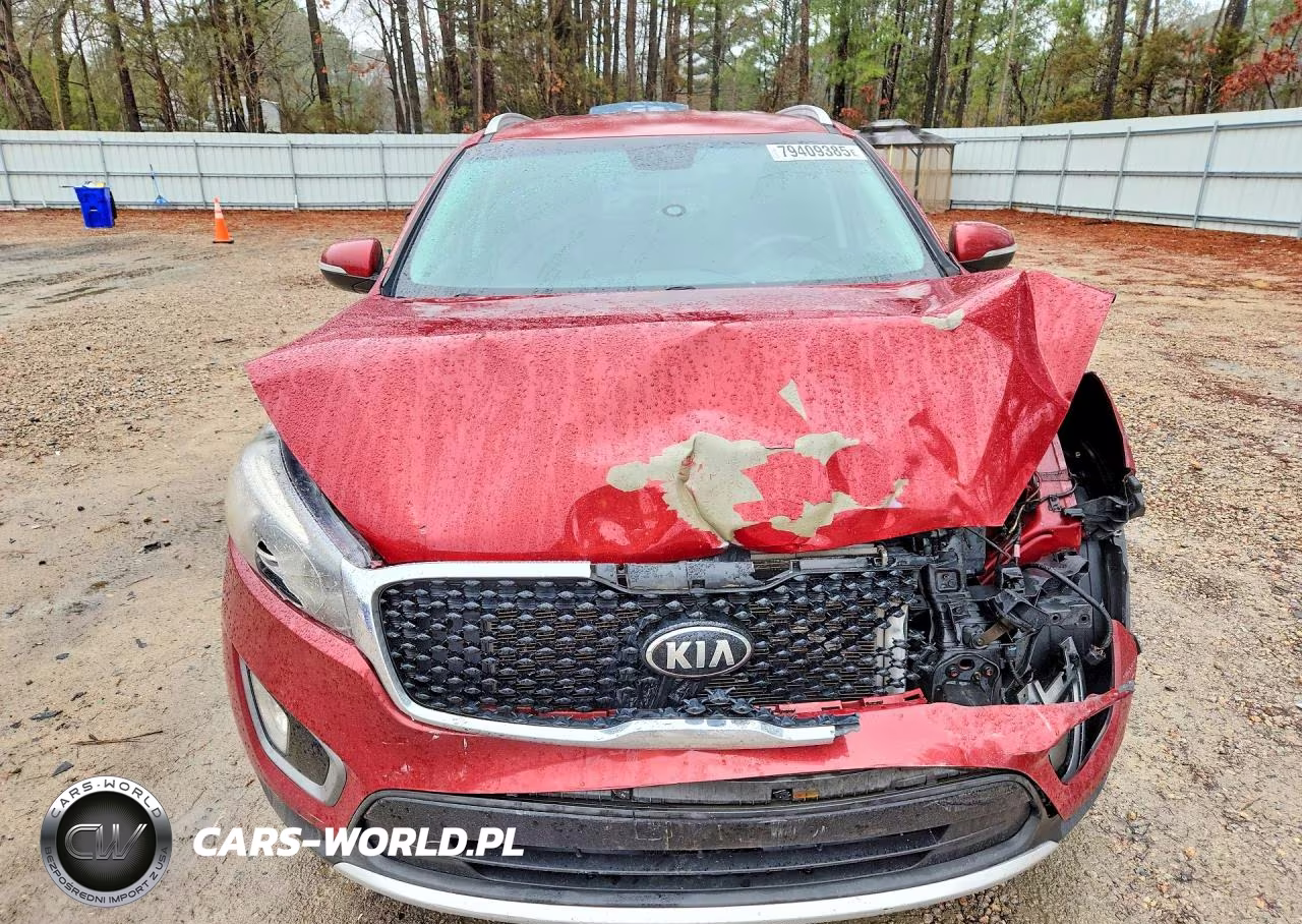 2016 Kia Sorento Ex V6 VIN:5XYPH4A59GG084462 - 5