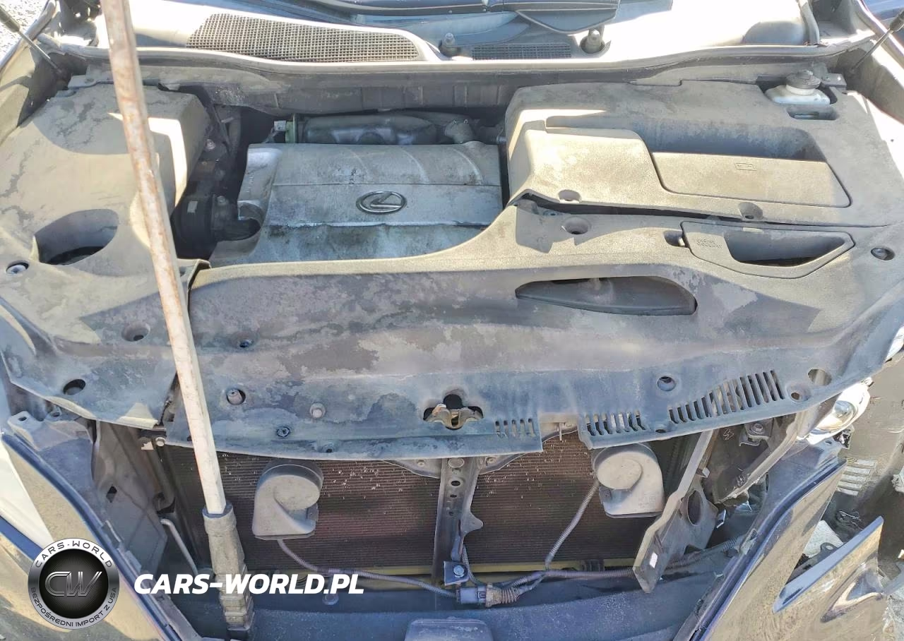 2010 Lexus Rx 350 Base VIN:2T2BK1BA0AC050981 - 12
