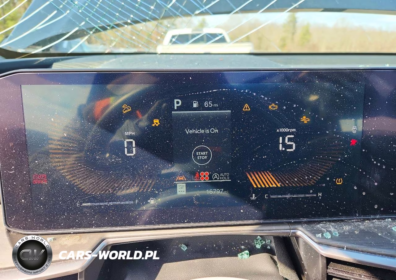 2025 Kia Sorento X-Line Ex VIN:5XYRHDJF9SG319856 - 9