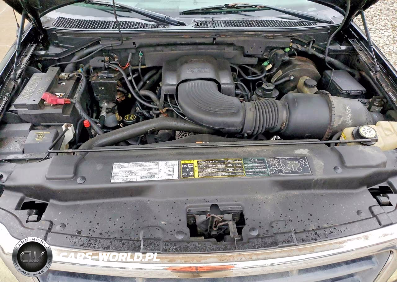2003 Ford F150 VIN:1FTRX17W23NB24135 - 11