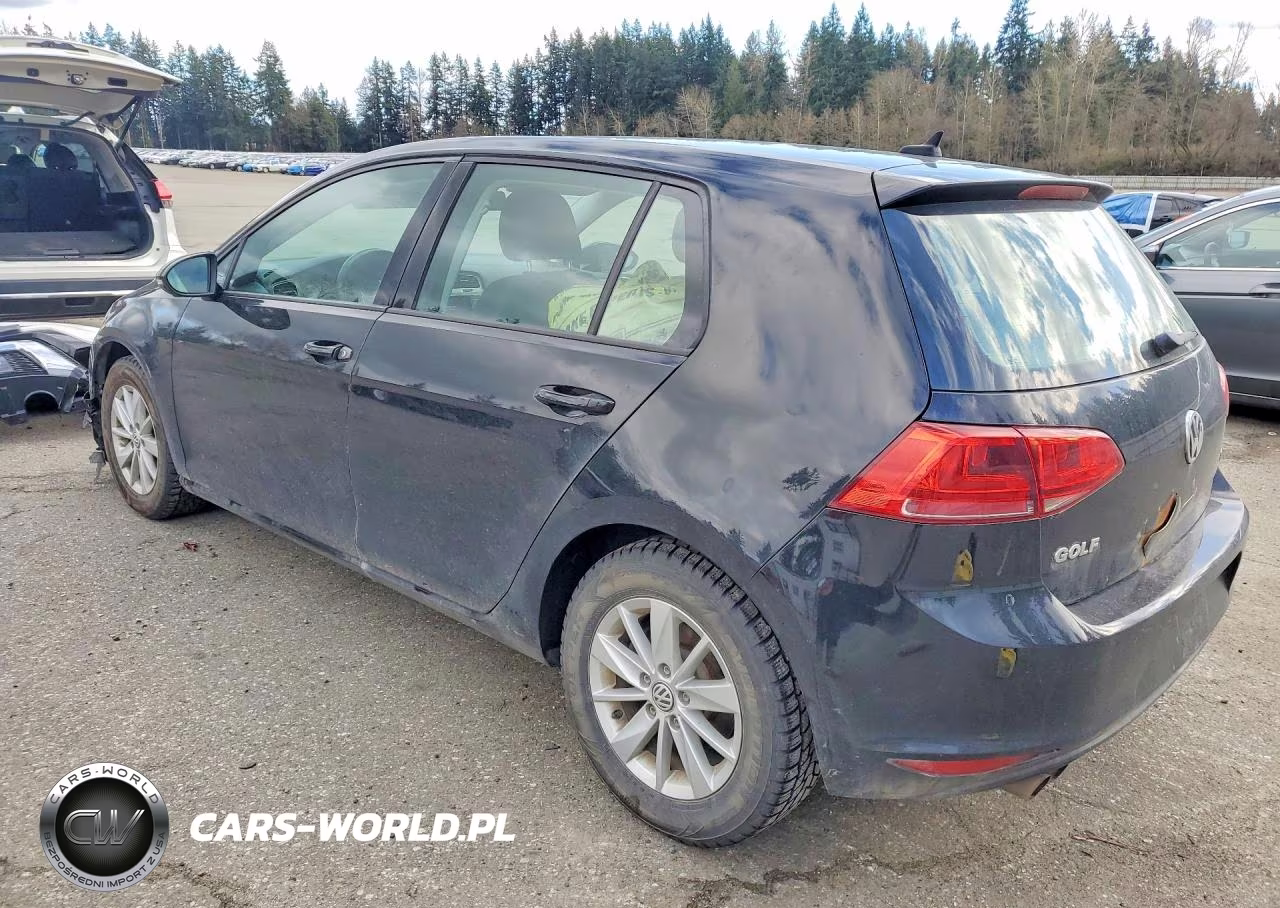 2015 Volkswagen Golf VIN:3VW217AU3FM094667 - 2