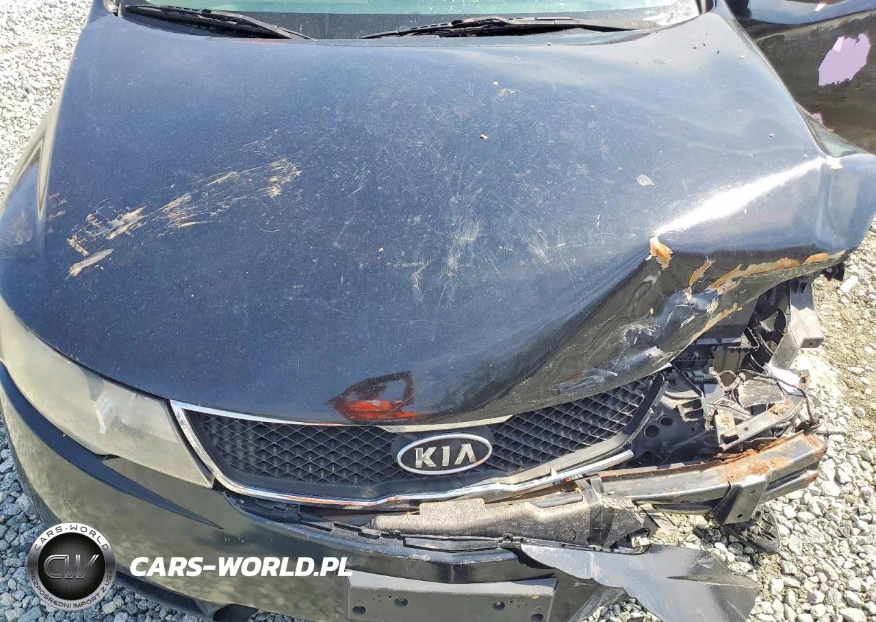 2012 Kia Forte Ex VIN:KNAFU4A21C5520220 - 11