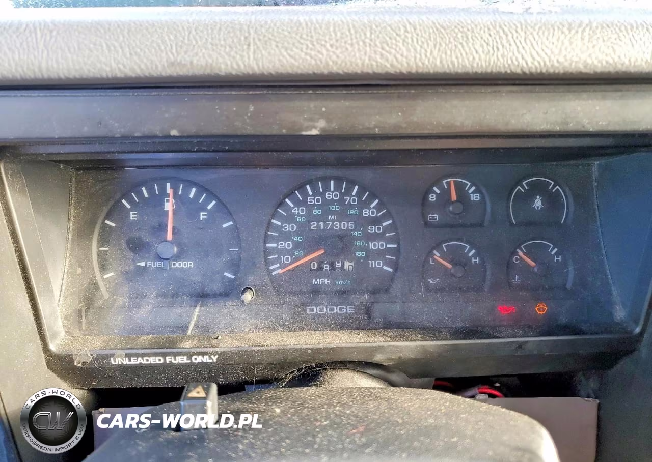1996 Dodge Dakota VIN:1B7FL26P4TS668300 - 9