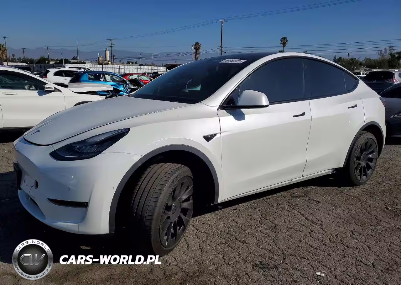 2020 Tesla Model Y