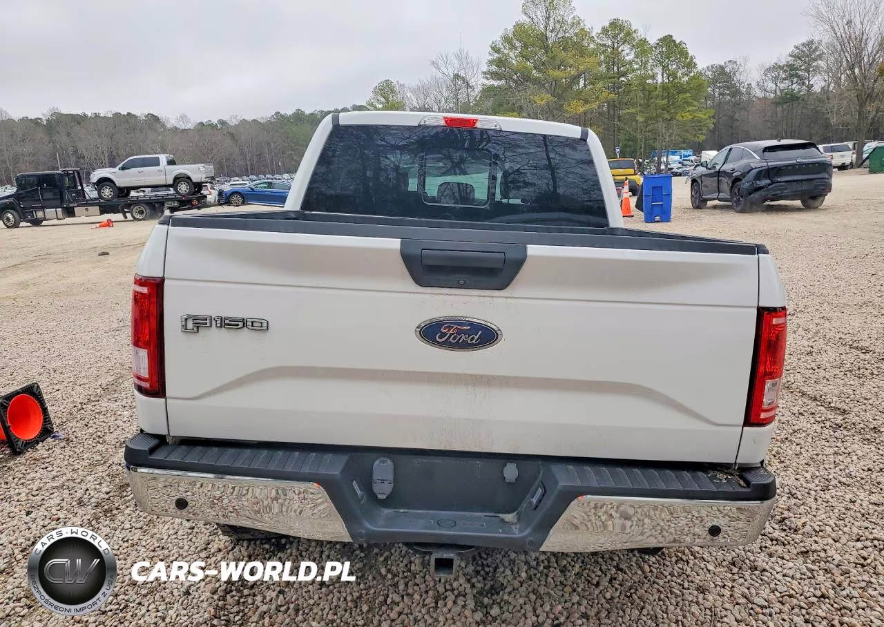 2017 Ford F150 Supercrew VIN:1FTEW1C88HFB43203 - 6