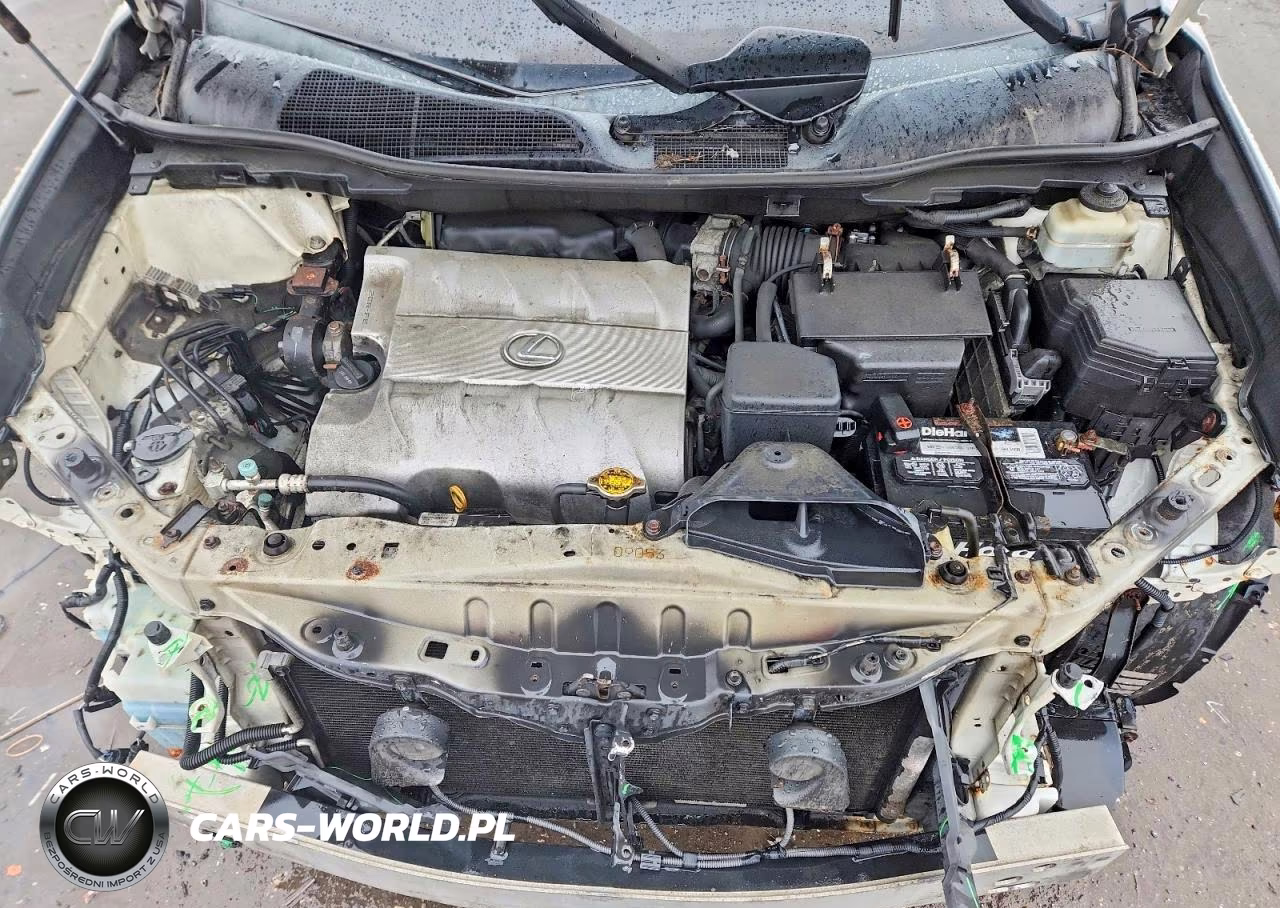 2010 Lexus Rx 350 Base VIN:2T2BK1BA2AC073484 - 12