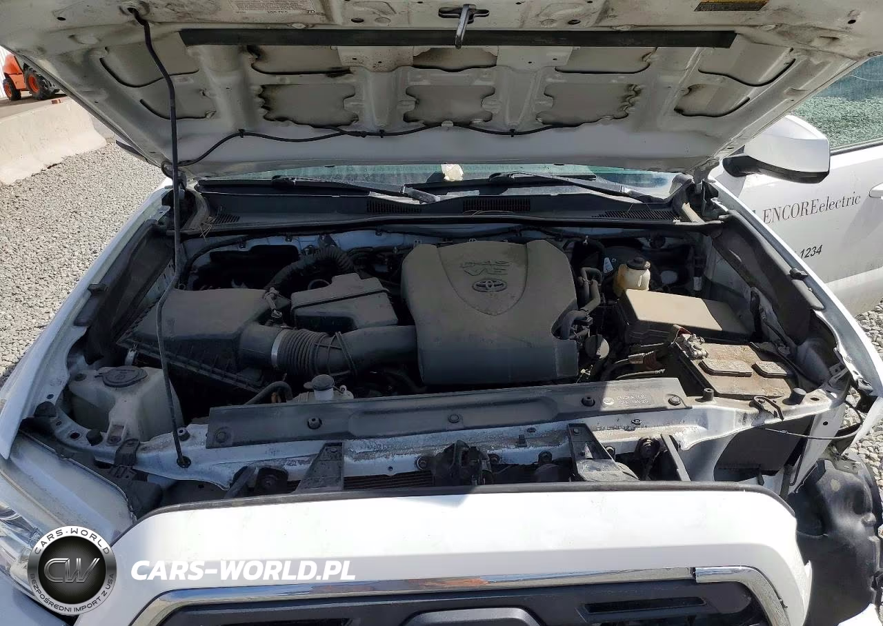 2019 Toyota Tacoma Sr5 V6 VIN:5TFSZ5AN0KX178832 - 11