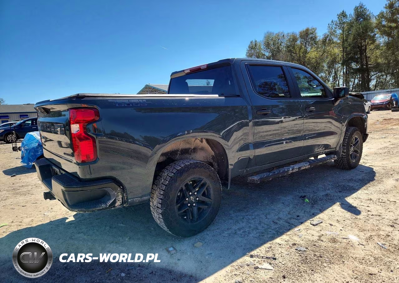 2025 Chevrolet Silverado K1500 Trail Boss Custom VIN:3GCUKCED2SG376271 - 3