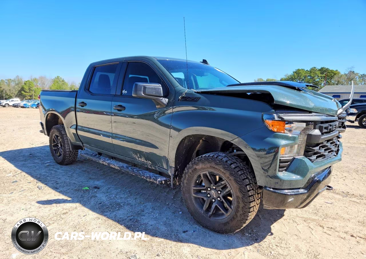 2025 Chevrolet Silverado K1500 Trail Boss Custom VIN:3GCUKCED2SG376271 - 4