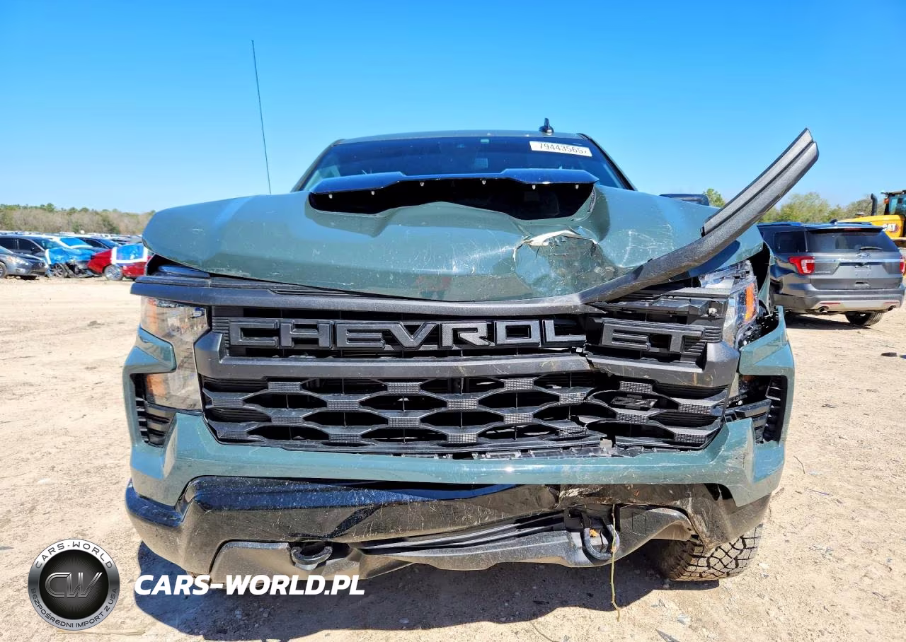 2025 Chevrolet Silverado K1500 Trail Boss Custom VIN:3GCUKCED2SG376271 - 5