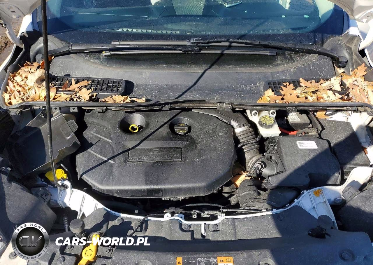 2014 Ford Escape Titanium VIN:1FMCU9J9XEUD36902 - 12