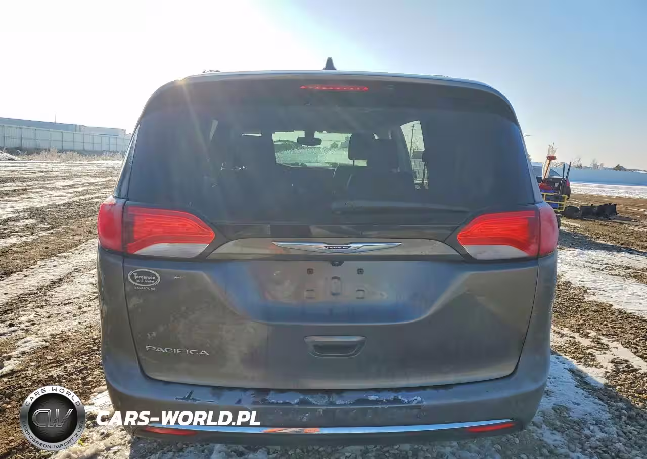 2020 Chrysler Pacifica Touring L VIN:2C4RC1BG4LR109893 - 6