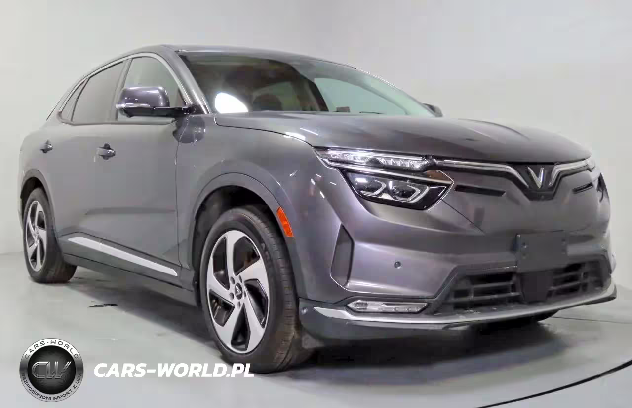 2024 Vinfast Vf 8 Eco