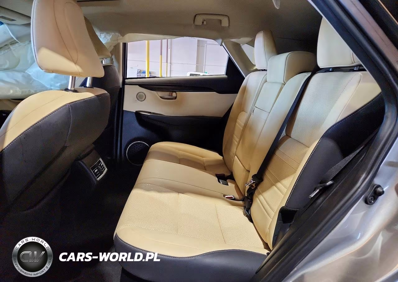 2019 Lexus Nx 300 Base VIN:JTJYARBZXK2143803 - 11