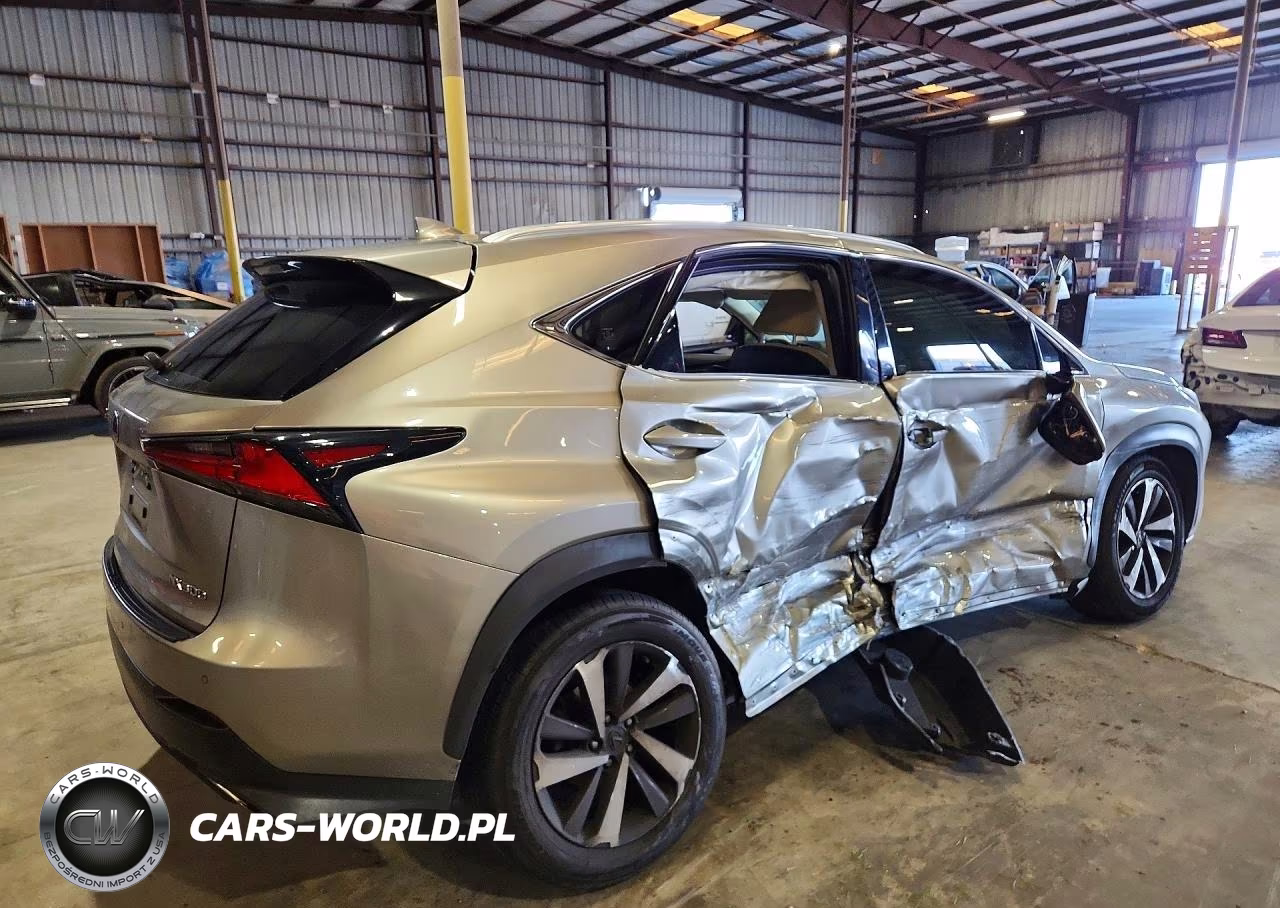 2019 Lexus Nx 300 Base VIN:JTJYARBZXK2143803 - 3