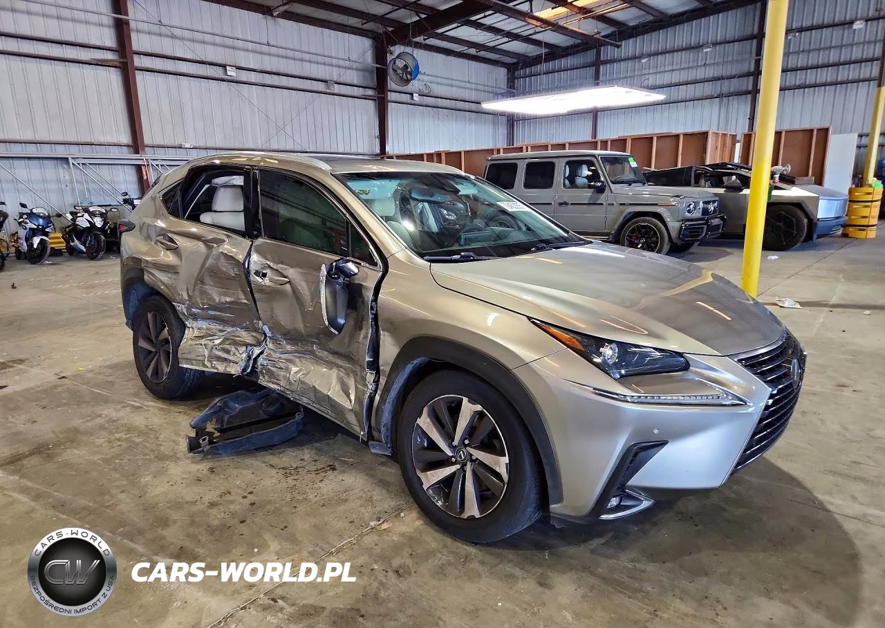 2019 Lexus Nx 300 Base VIN:JTJYARBZXK2143803 - 4