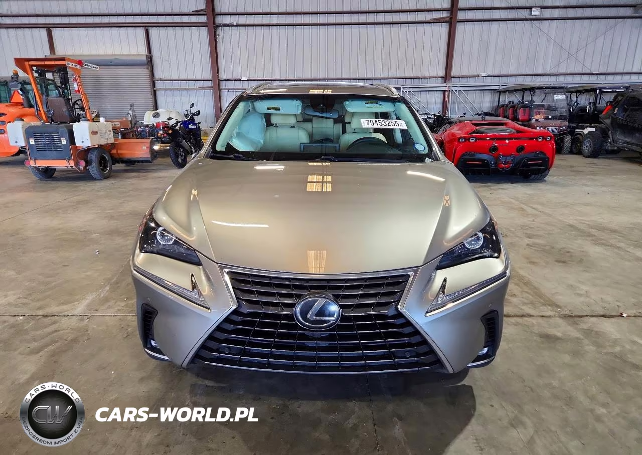 2019 Lexus Nx 300 Base VIN:JTJYARBZXK2143803 - 5