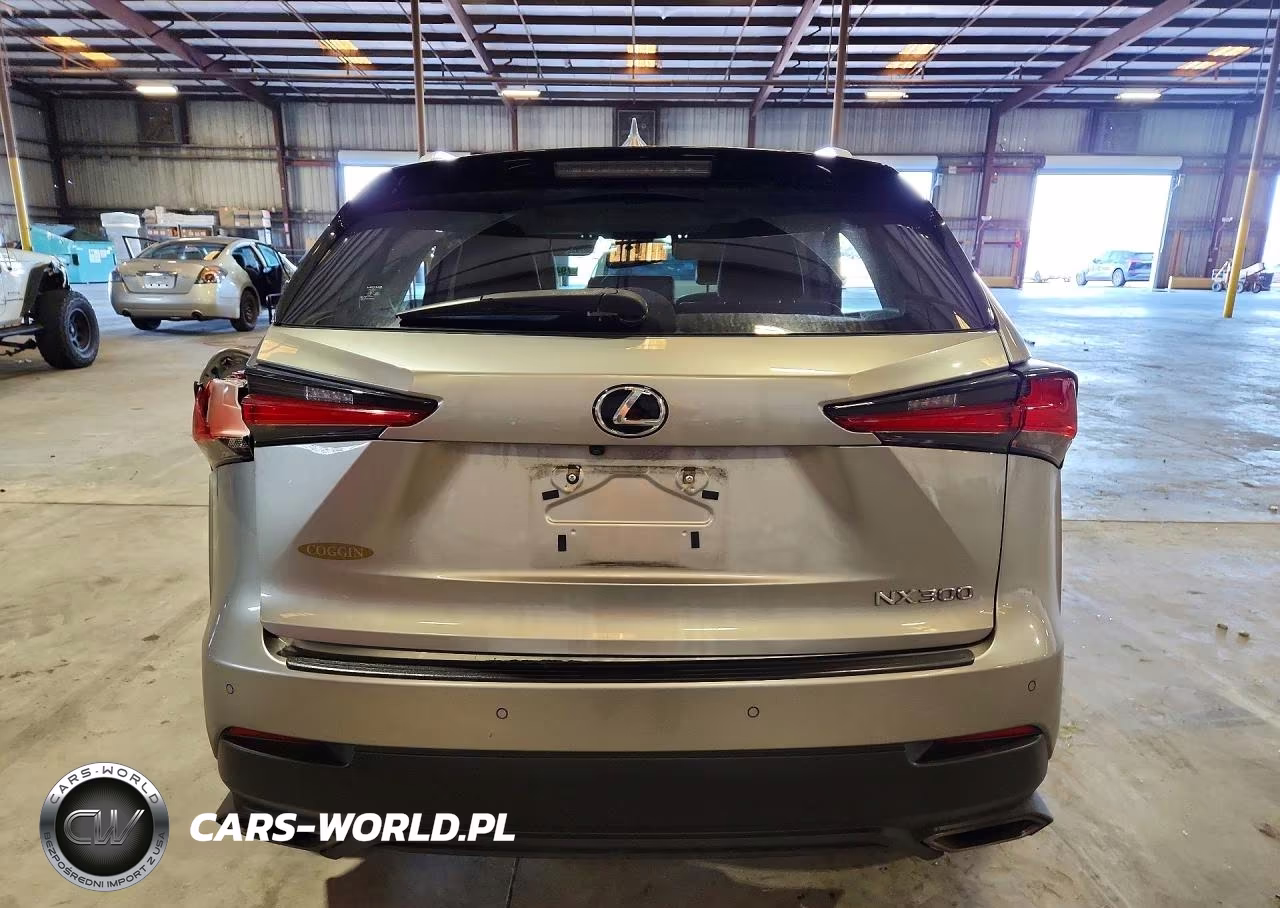 2019 Lexus Nx 300 Base VIN:JTJYARBZXK2143803 - 6