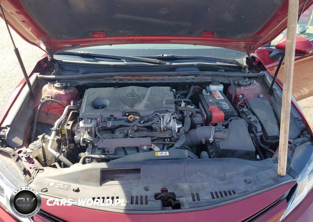 2019 Toyota Camry Le VIN:4T1B11HK9KU782551 - 11