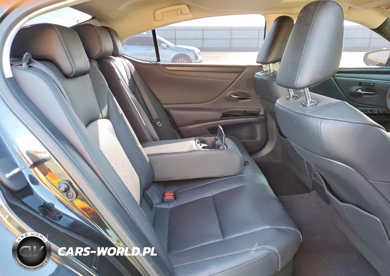 2024 Lexus Es 300H Base VIN:58ADA1C1XRU052481 - 10