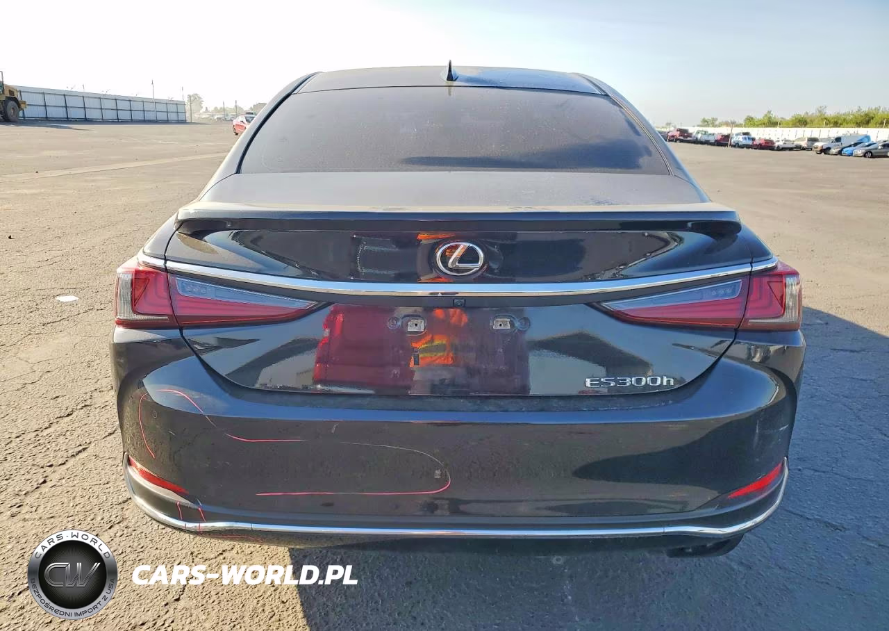 2024 Lexus Es 300H Base VIN:58ADA1C1XRU052481 - 6